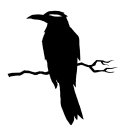 Blackbird_ adlı kullanıcı